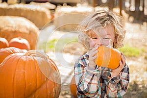 Excited Little Boy Sitting and Holding His Pumpkin at Pumpkin Patch