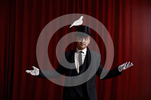 Excited man magician performing trick with beautiful white dove bird