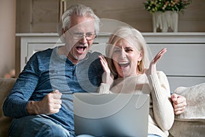 Excited senior couple screaming celebrating victory winning onli