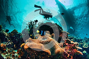 Exciting and busy underwater sea scape