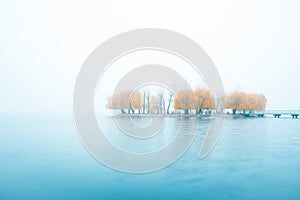 Exciting charming autumnal minimalistic landscape with an island of yellow trees in the middle of a lake in a misty morning