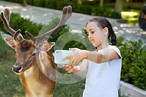 Exciting experience. Cute little girl watching and stroking young dappled deer with food while spending great time with