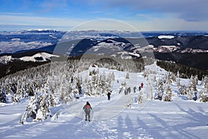 The exciting landscape of the Hoverla surroundings. Ukrainian Carpathian mountains