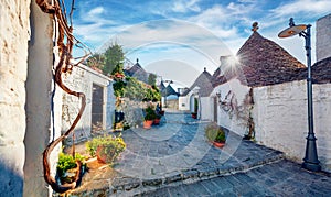 Exciting morning view of strret with trullo trulli -  traditional Apulian dry stone hut with a conical roof.