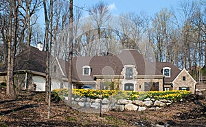 Exclusive House with Spring Daffodils