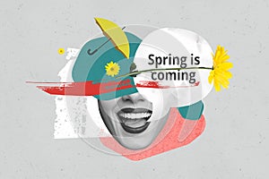 Exclusive magazine picture sketch collage image of lady face announcing spring coming isolated grey color background