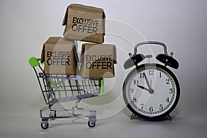 Exclusive Offer Text in small boxes and shopping cart. Concepts about online shopping. Isolated on white background