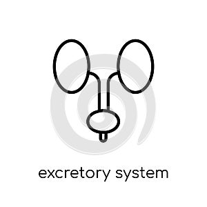 Excretory system icon. Trendy modern flat linear vector Excretory system icon on white background from thin line Human Body Parts