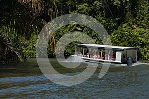 Excursion boat in Tortuguero National Park in Costa Rica, Central America