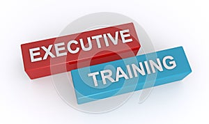 executive training word block on white