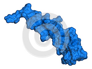 Exenatide diabetes drug molecule. 3D rendering. Molecular surface cartoon representation. photo