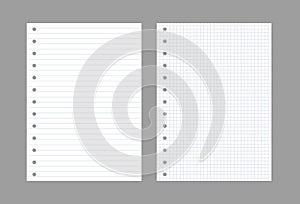 Exercise book paper page background. Notebook sheet lined texture pattern