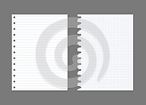 Exercise book paper page background. Notebook sheet lined texture pattern