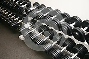 Exercise equipment weights