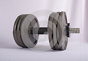 Exercise Weights