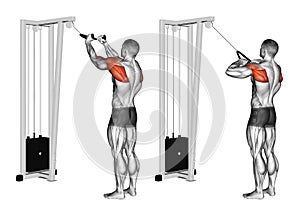 Exercising. Cable Rope Rear Delt Rows