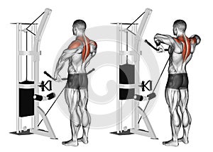 Exercising. Cable Upright Rows