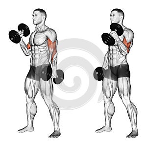 Exercising. Curl with a dumbbell grip hammer