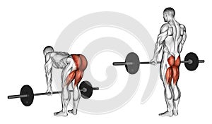 Exercising. Deadlifts with a barbell, legs straigh