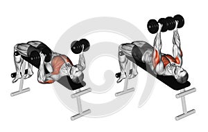 Exercising. Decline Dumbbell Bench Press