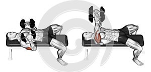 Exercising. Dumbbell bench press lying down with y