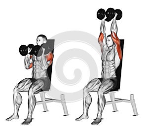 Exercising. Dumbbell Seated Shoulder Press Parallel Grip