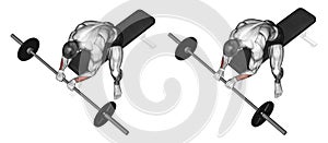 Exercising. Extension of the wrist with a barbell