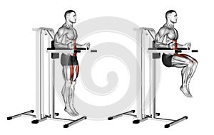 Exercising. Knee Raise on parallel bars