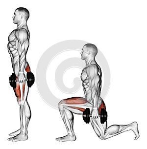 Exercising. Lunges with dumbbells