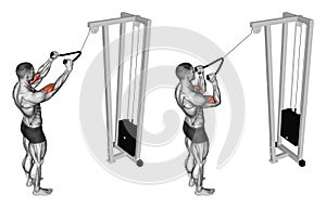 Exercising. Pulldown exercise the muscles of the biceps