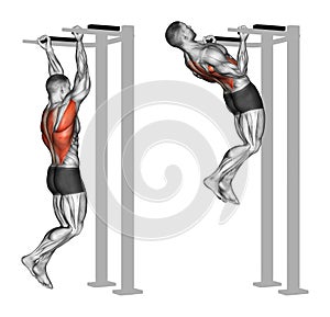 Exercising. Reverse grip pull-ups on the back muscles