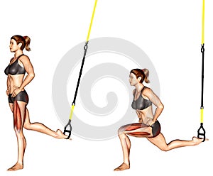 Exercising. TRX Suspender Single Leg Split Squat