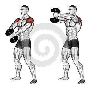 Exercising. Ups of hands forward with one dumbbell