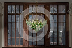 Exhale the world first living bionic chandelier which purifies the air indoors with brown wooden windows background