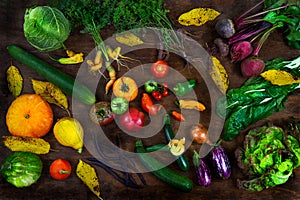 Exhibition of fruits and organic autumn gumes non-format s-View from above. photo