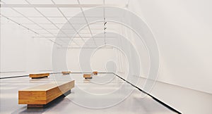 Exhibition interior with blank picture frames. Gallery with spot lights, natural sunlights and empty canvas. 3d