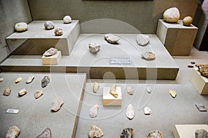 Exhibits of Antalya Museum of Antiquities, stone tools and knives with scrapers