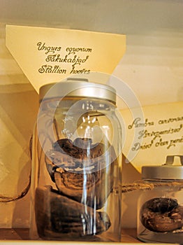 Exhibits of medieval pharmacies