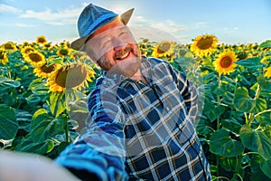 exhilaration smiling senior handsome man farmer visiting sunflower field and taking photo selfie