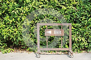 Exit with arrow sign on wood board against green leaf wall background