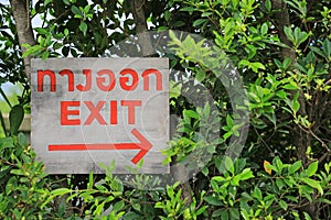 Exit with arrow sign on wood board against green leaf wall background