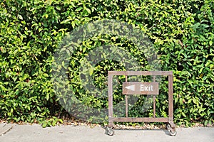 Exit with arrow sign on wood board with green leaf wall background