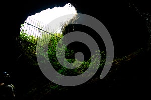 Exit of a cave covered by plants, against the sky