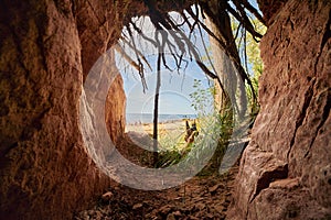 Exit from the cave. View from cave