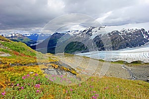 Exit Glacier, Harding Ice Field, Kenai Fjords National Park, Alaska