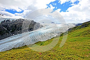 Exit Glacier, Harding Ice Field, Kenai Fjords National Park, Alaska