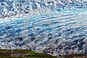 Exit glacier