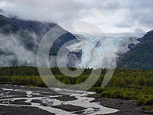 Exit Glacier Rising Over Forest and Braided River, Kenai Fjords National Park