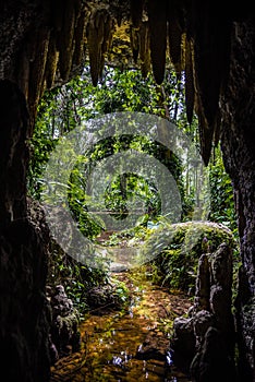 View of a Stream and Plants from the Exit of a Small Cave in Parque Lage - Rio de Janeiro, Brazil photo