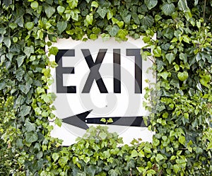 Exit sign with ivy